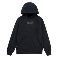 levis---logo pullover-hoodie